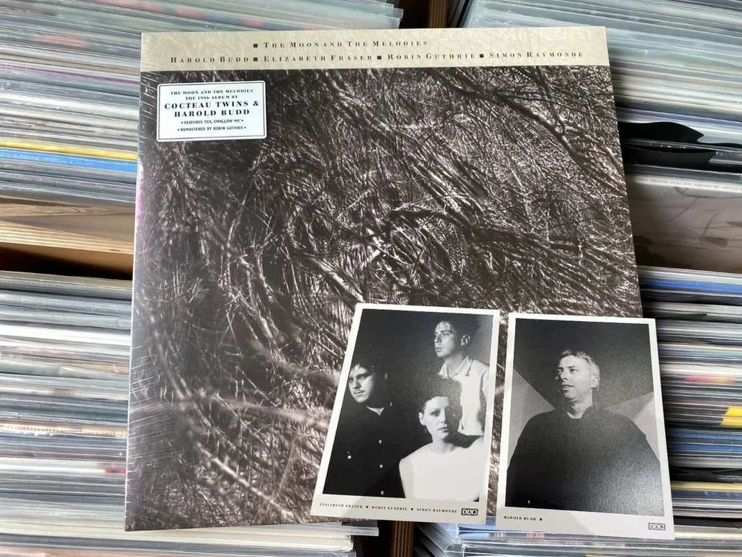 strangerthanparadiserecords202605071059202709811